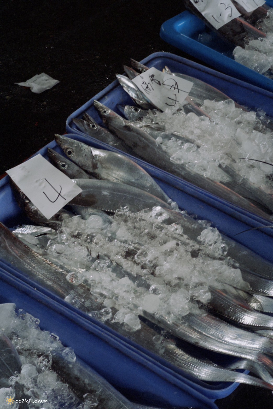 吃飯也可以是一場旅行！台東成功「成功毛利屋」，騎電輔車走入成功小鎮的食魚教育慢旅體驗，預約制私廚料理×漁港走讀，用五感認識台東成功的海味日常。