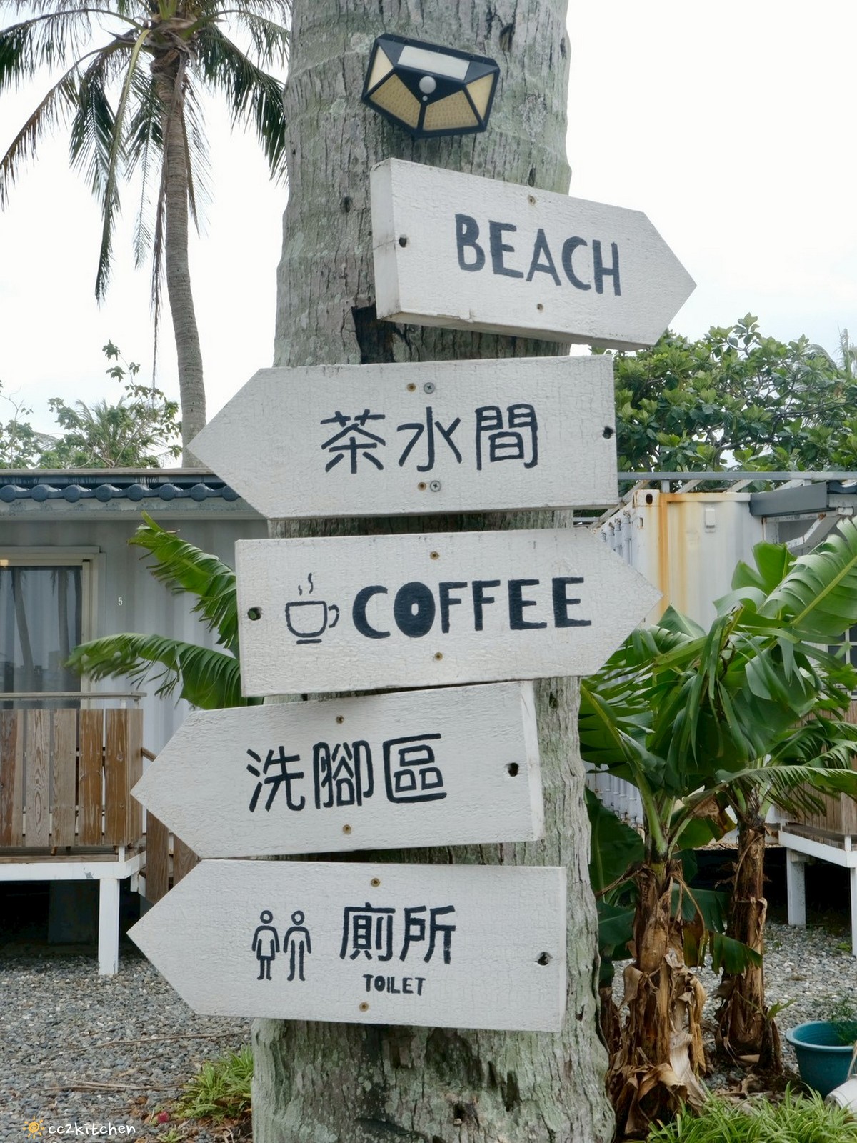 台東成功咖啡廳推薦「椰風浪鼓」純白貨櫃屋、椰林環繞,海邊的世外桃源。 - 第10張圖 台東成功咖啡廳推薦「椰風浪鼓」純白貨櫃屋、椰林環繞,海邊的世外桃源。