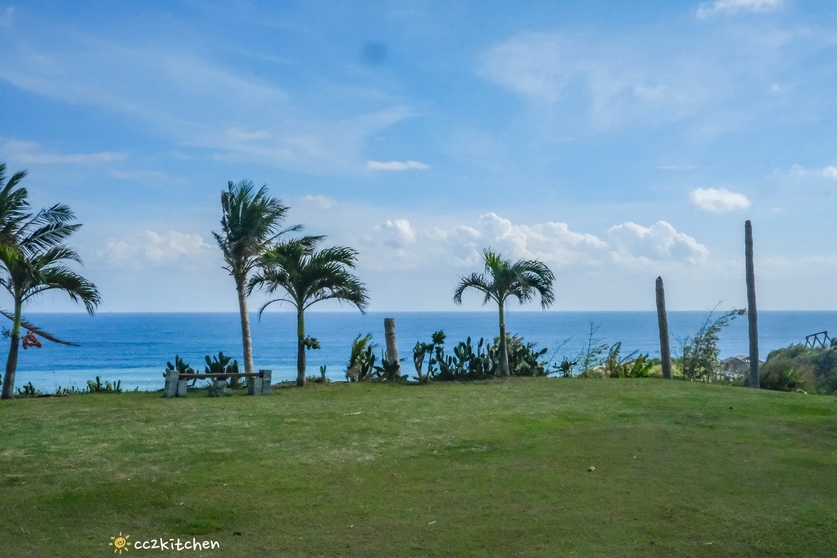 台東成功八邊「里漾餐廳 Lyang」，藏在海岸公路上的海景秘境小餐館！海景第一排，邊吃飯邊看海～義法料理結合在地食材！成功私房口袋名單推薦。