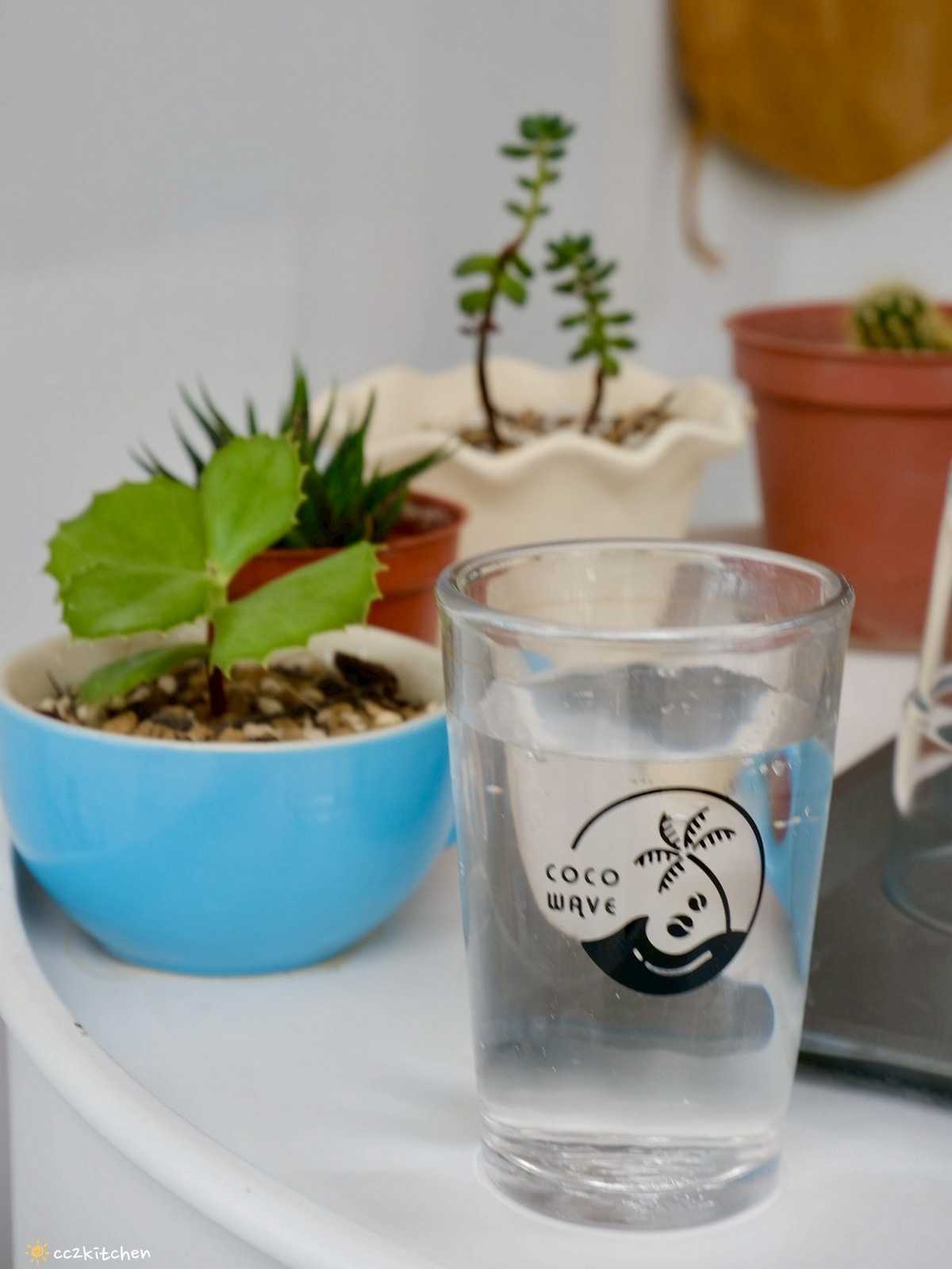 台東成功咖啡廳推薦「椰風浪鼓」純白貨櫃屋、椰林環繞,海邊的世外桃源。 - 第8張圖 台東成功咖啡廳推薦「椰風浪鼓」純白貨櫃屋、椰林環繞,海邊的世外桃源。