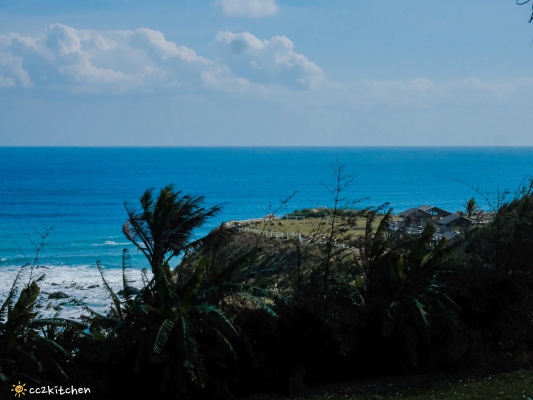 台東成功八邊「里漾餐廳 Lyang」，藏在海岸公路上的海景秘境小餐館！海景第一排，邊吃飯邊看海～義法料理結合在地食材！成功私房口袋名單推薦。