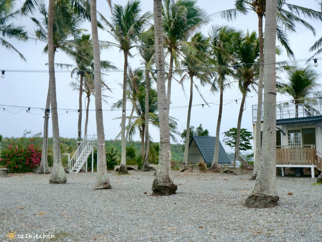 台東成功咖啡廳推薦「椰風浪鼓」純白貨櫃屋、椰林環繞,海邊的世外桃源。 - 第3張圖 台東成功咖啡廳推薦「椰風浪鼓」純白貨櫃屋、椰林環繞,海邊的世外桃源。