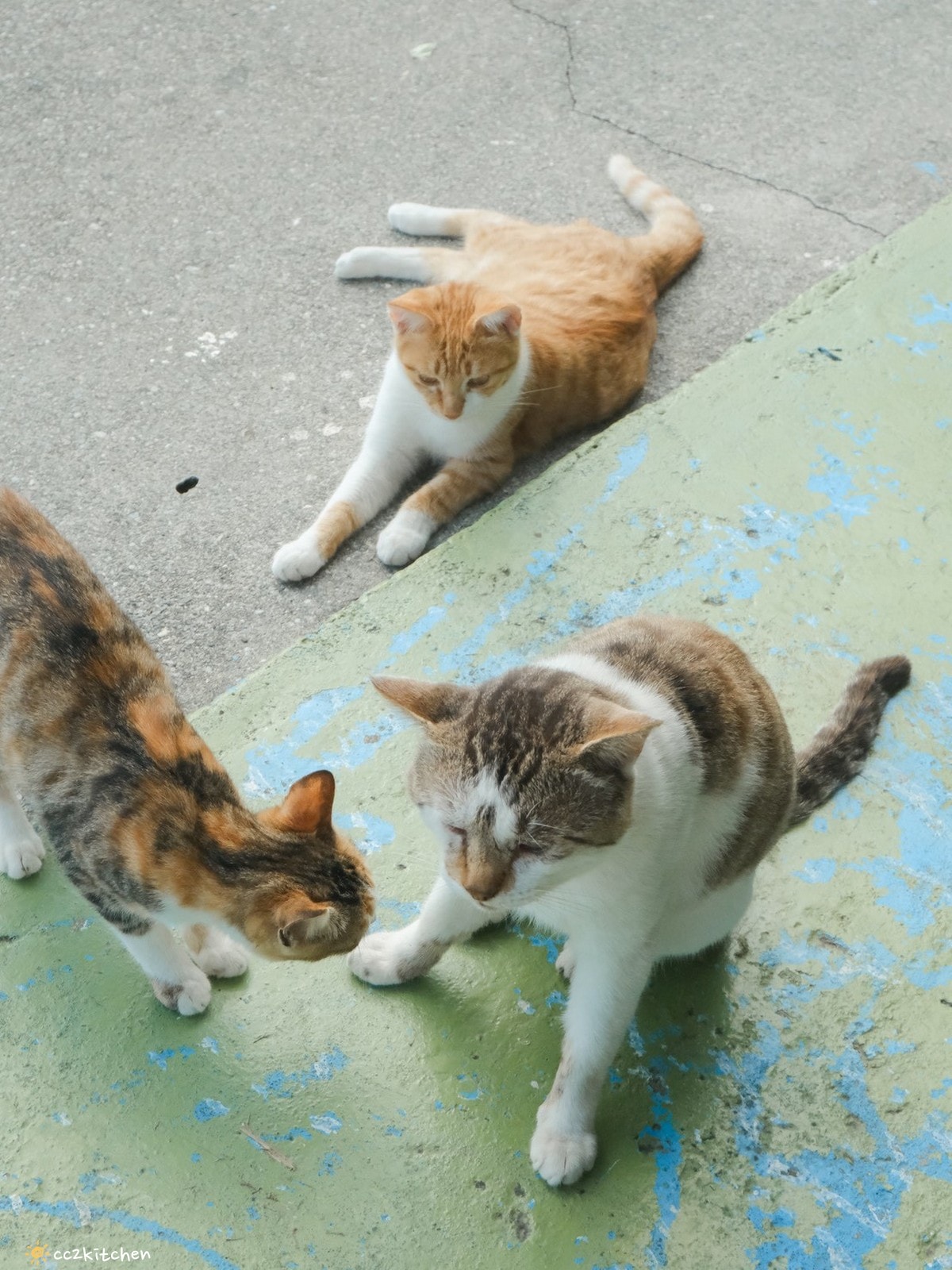 台東成功八邊「里漾餐廳 Lyang」，藏在海岸公路上的海景秘境小餐館！海景第一排，邊吃飯邊看海～義法料理結合在地食材！成功私房口袋名單推薦。