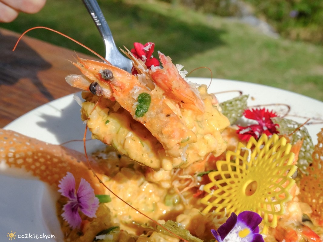 台東成功八邊「里漾餐廳 Lyang」，藏在海岸公路上的海景秘境小餐館！海景第一排，邊吃飯邊看海～義法料理結合在地食材！成功私房口袋名單推薦。