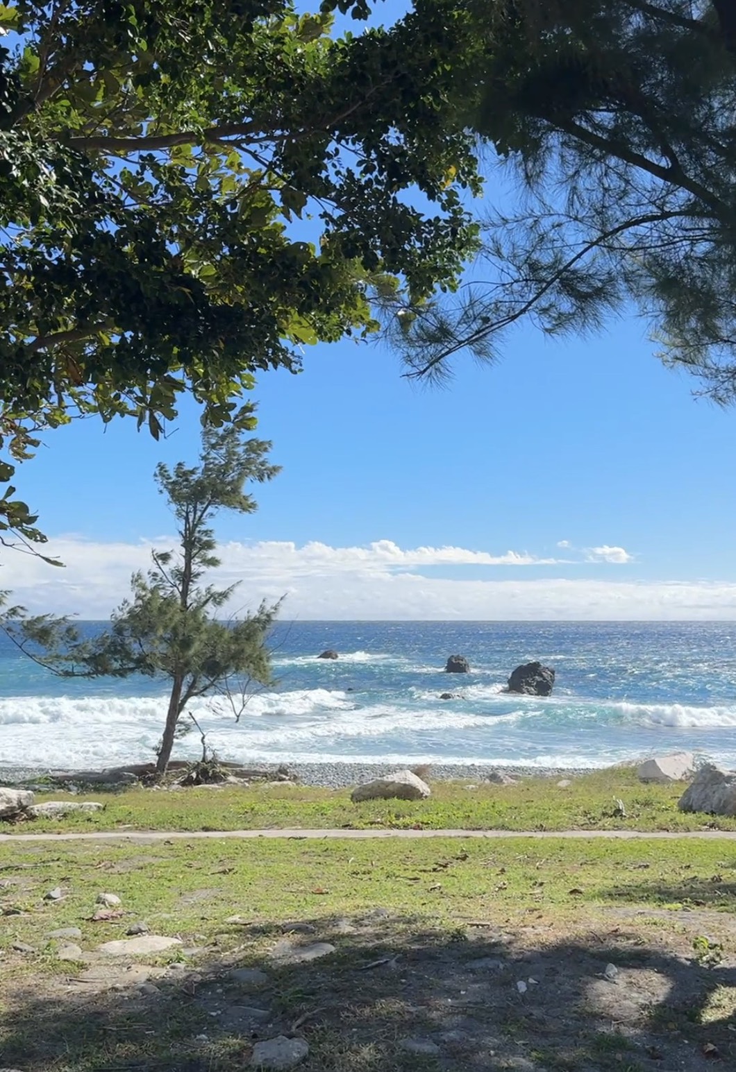 吃飯也可以是一場旅行！台東成功「成功毛利屋」，騎電輔車走入成功小鎮的食魚教育慢旅體驗，預約制私廚料理×漁港走讀，用五感認識台東成功的海味日常。
