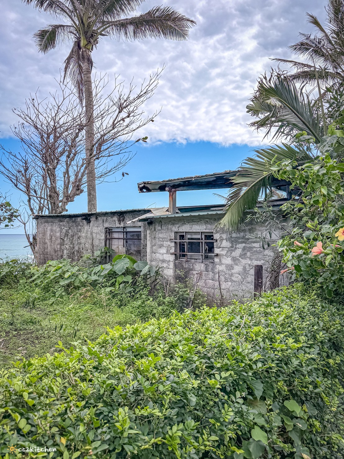 台東成功美食推薦「新海灣牛肉麵-手工蔥花餅」,台11線海景牛肉麵隱藏版小店,半筋半肉紅燒牛肉麵配海景超療癒~ - 第2張圖 台東成功美食推薦「新海灣牛肉麵-手工蔥花餅」,台11線海景牛肉麵隱藏版小店,半筋半肉紅燒牛肉麵配海景超療癒~