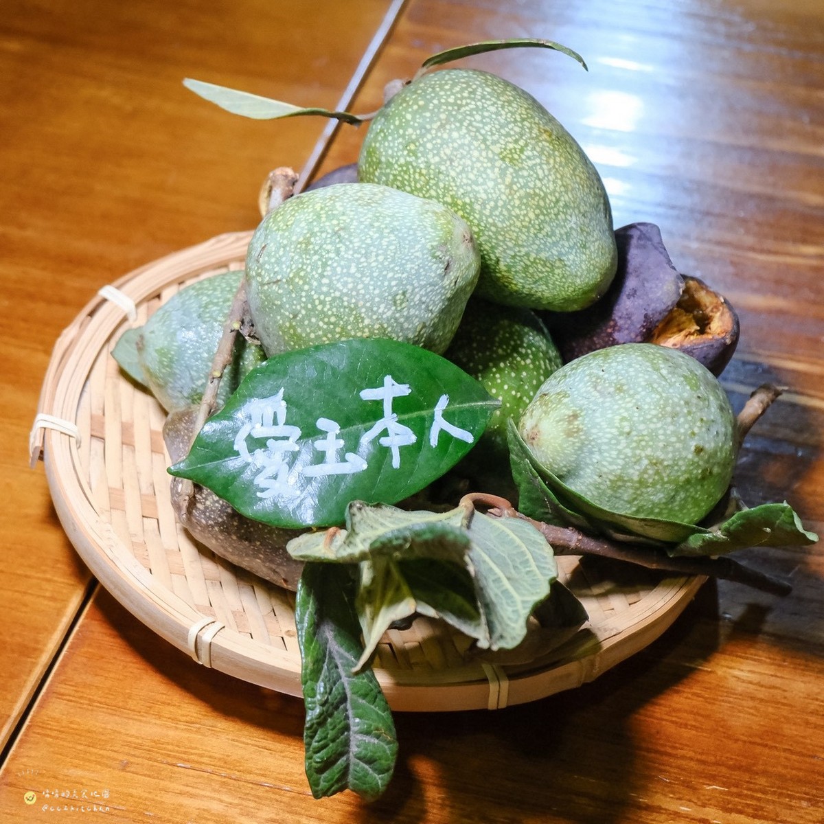 台東兩天一夜深度旅遊:「日日南島」療癒系慢旅,走進縱谷與海線的生活日常,從炙燒席烙飯糰、手搓愛玉到阿美族營火古調,感受人與土地最深的連結。 - 第45張圖 台東兩天一夜深度旅遊:「日日南島」療癒系慢旅,走進縱谷與海線的生活日常,從炙燒席烙飯糰、手搓愛玉到阿美族營火古調,感受人與土地最深的連結。
