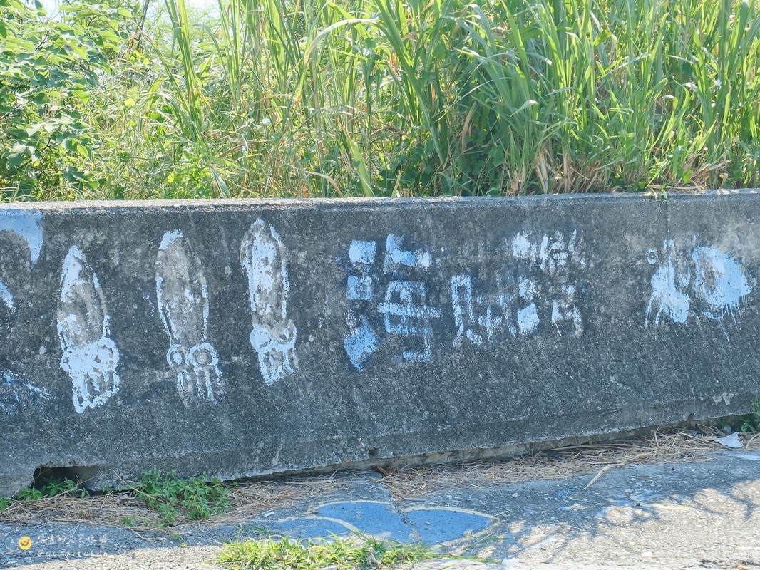 【2026世界自行車日】台東半日遊推薦!跟著「馬到成功・漫遊渚橋」騎電輔車漫遊台東東海岸,探訪小野柳、海賊灣秘境與渚橋海洋園區。 - 第25張圖 【2026世界自行車日】台東半日遊推薦!跟著「馬到成功・漫遊渚橋」騎電輔車漫遊台東東海岸,探訪小野柳、海賊灣秘境與渚橋海洋園區。