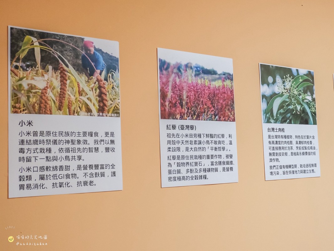 台東金崙咖啡廳推薦！「小米達爾達」：藏在金崙車站旁的特色烘焙咖啡館～必喝小米酒釀咖啡！沒有酒精卻有迷人酒香，藏著部落文化與土地故事。