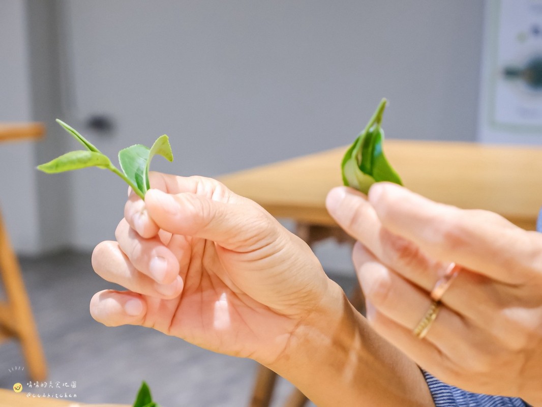 【台東縱谷線一日遊】農遊超市行程推薦:關山鎮農會米國學校、後山巡米所、饗嚮台東,從稻田到茶園~台東山線3個特色農遊體驗帶你一次玩! - 第98張圖 【台東縱谷線一日遊】農遊超市行程推薦:關山鎮農會米國學校、後山巡米所、饗嚮台東,從稻田到茶園~台東山線3個特色農遊體驗帶你一次玩!