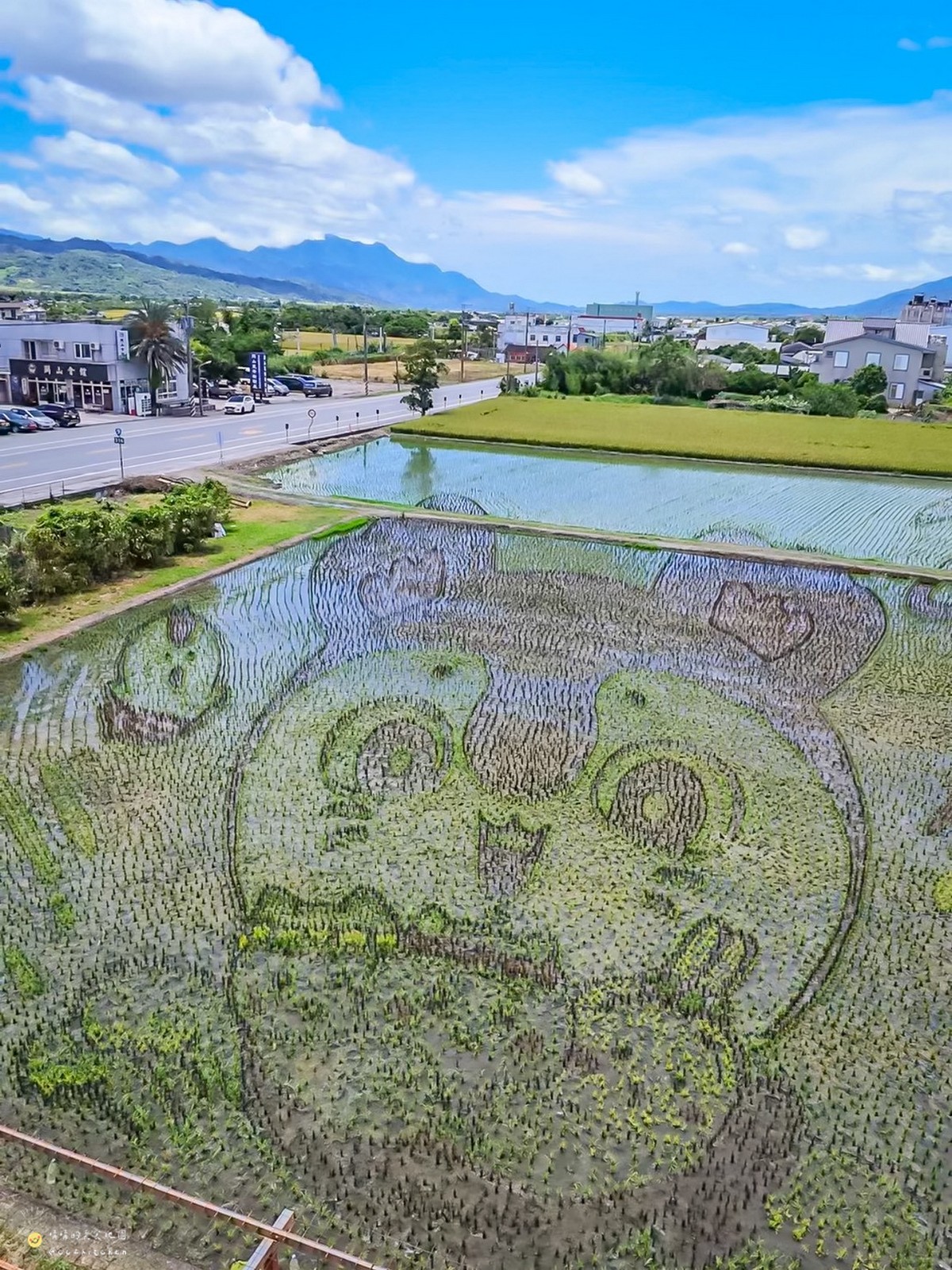 【台東縱谷線一日遊】農遊超市行程推薦:關山鎮農會米國學校、後山巡米所、饗嚮台東,從稻田到茶園~台東山線3個特色農遊體驗帶你一次玩! - 第49張圖 【台東縱谷線一日遊】農遊超市行程推薦:關山鎮農會米國學校、後山巡米所、饗嚮台東,從稻田到茶園~台東山線3個特色農遊體驗帶你一次玩!