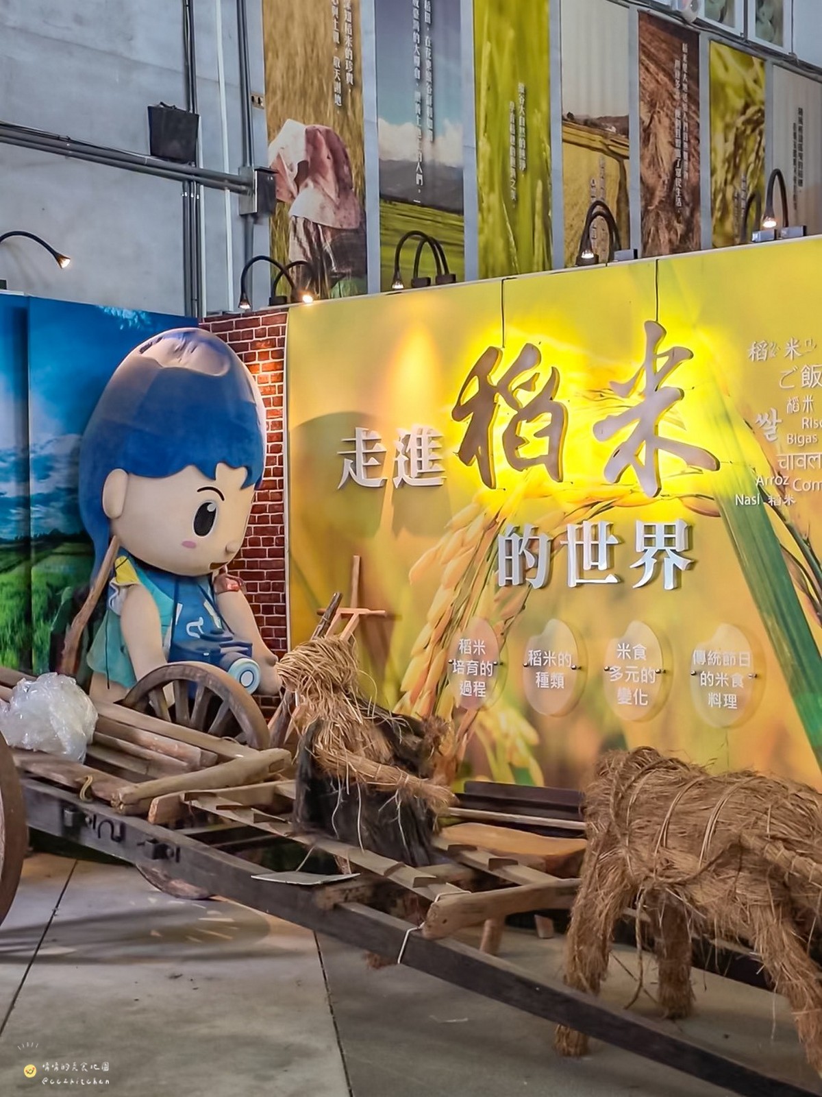 【台東縱谷線一日遊】農遊超市行程推薦:關山鎮農會米國學校、後山巡米所、饗嚮台東,從稻田到茶園~台東山線3個特色農遊體驗帶你一次玩! - 第9張圖 【台東縱谷線一日遊】農遊超市行程推薦:關山鎮農會米國學校、後山巡米所、饗嚮台東,從稻田到茶園~台東山線3個特色農遊體驗帶你一次玩!