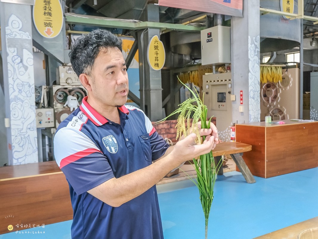 【台東縱谷線一日遊】農遊超市行程推薦:關山鎮農會米國學校、後山巡米所、饗嚮台東,從稻田到茶園~台東山線3個特色農遊體驗帶你一次玩! - 第15張圖 【台東縱谷線一日遊】農遊超市行程推薦:關山鎮農會米國學校、後山巡米所、饗嚮台東,從稻田到茶園~台東山線3個特色農遊體驗帶你一次玩!