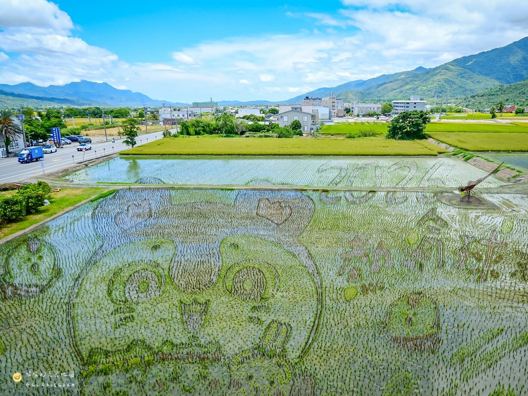 【台東縱谷線一日遊】農遊超市行程推薦:關山鎮農會米國學校、後山巡米所、饗嚮台東,從稻田到茶園~台東山線3個特色農遊體驗帶你一次玩! - 第48張圖 【台東縱谷線一日遊】農遊超市行程推薦:關山鎮農會米國學校、後山巡米所、饗嚮台東,從稻田到茶園~台東山線3個特色農遊體驗帶你一次玩!