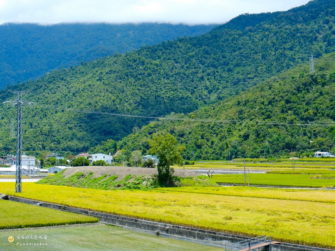 【台東縱谷線一日遊】農遊超市行程推薦:關山鎮農會米國學校、後山巡米所、饗嚮台東,從稻田到茶園~台東山線3個特色農遊體驗帶你一次玩! - 第8張圖 【台東縱谷線一日遊】農遊超市行程推薦:關山鎮農會米國學校、後山巡米所、饗嚮台東,從稻田到茶園~台東山線3個特色農遊體驗帶你一次玩!