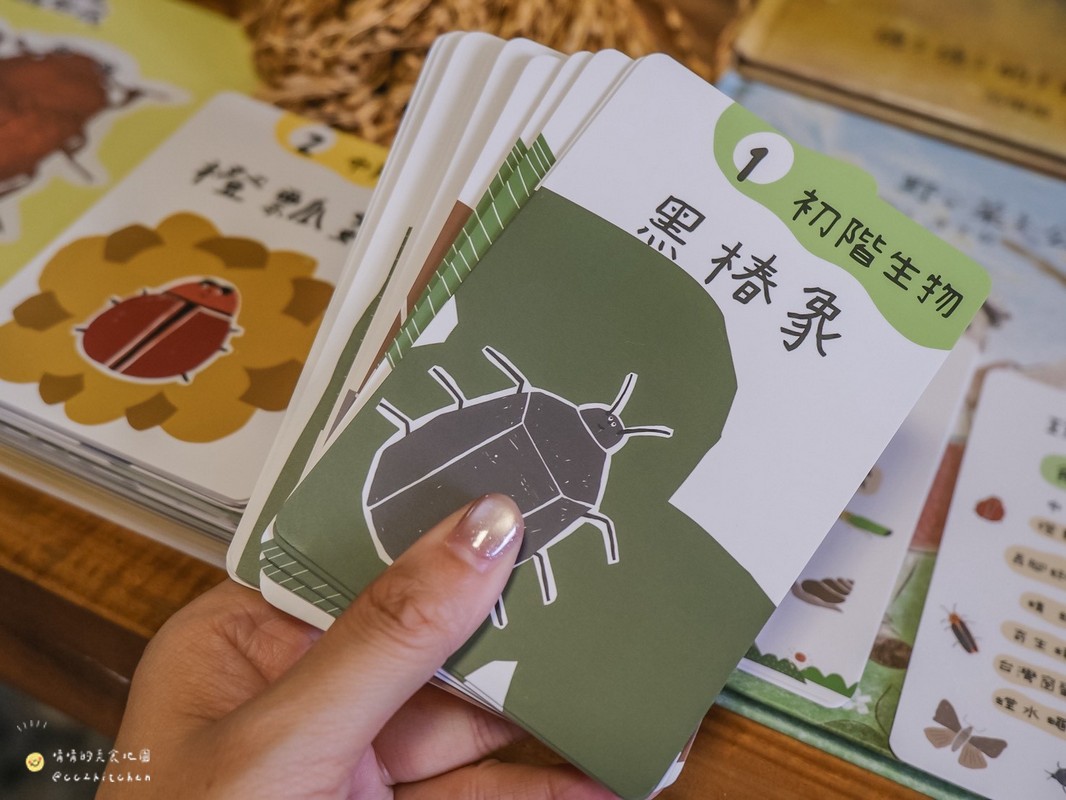 【台東縱谷線一日遊】農遊超市行程推薦:關山鎮農會米國學校、後山巡米所、饗嚮台東,從稻田到茶園~台東山線3個特色農遊體驗帶你一次玩! - 第66張圖 【台東縱谷線一日遊】農遊超市行程推薦:關山鎮農會米國學校、後山巡米所、饗嚮台東,從稻田到茶園~台東山線3個特色農遊體驗帶你一次玩!