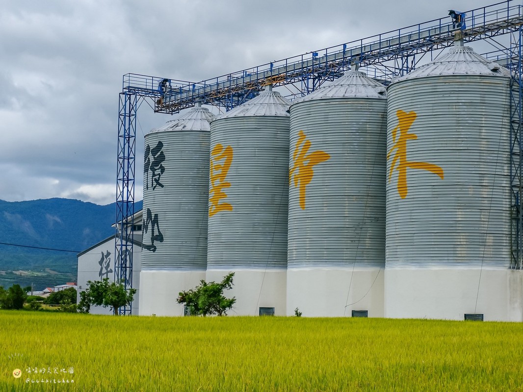 【台東縱谷線一日遊】農遊超市行程推薦:關山鎮農會米國學校、後山巡米所、饗嚮台東,從稻田到茶園~台東山線3個特色農遊體驗帶你一次玩! - 第53張圖 【台東縱谷線一日遊】農遊超市行程推薦:關山鎮農會米國學校、後山巡米所、饗嚮台東,從稻田到茶園~台東山線3個特色農遊體驗帶你一次玩!