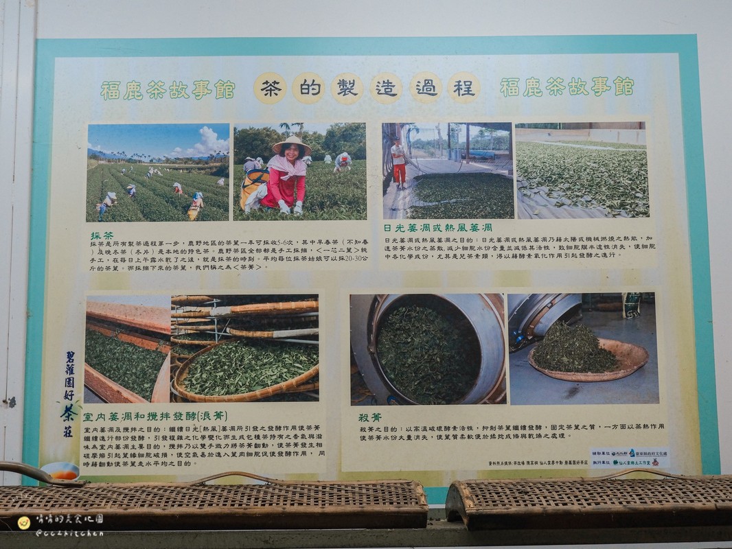 2026台東熱氣球新玩法！農遊超市限定團推薦～鹿野「碧蘿園茗茶坊」紅烏龍體驗，跟著節氣去旅行，百變茶香漫遊縱谷～