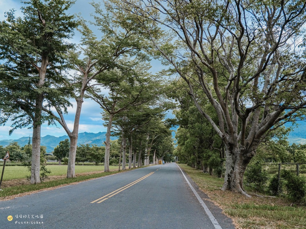 2026台東熱氣球新玩法！農遊超市限定團推薦～鹿野「碧蘿園茗茶坊」紅烏龍體驗，跟著節氣去旅行，百變茶香漫遊縱谷～